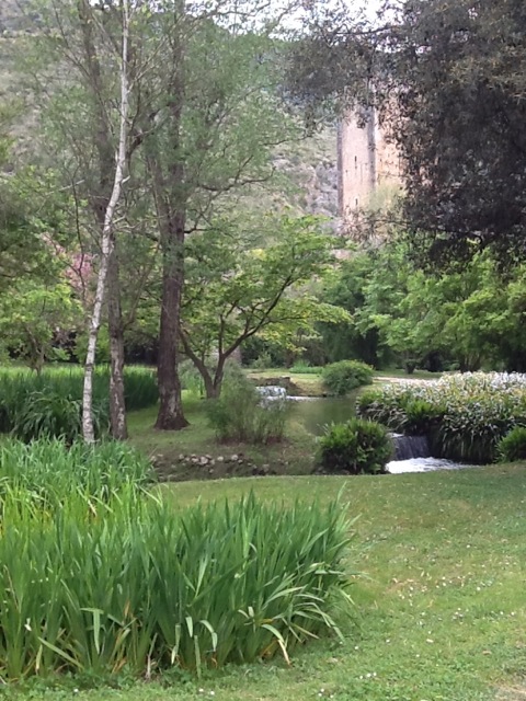 Image for The Garden of Ninfa