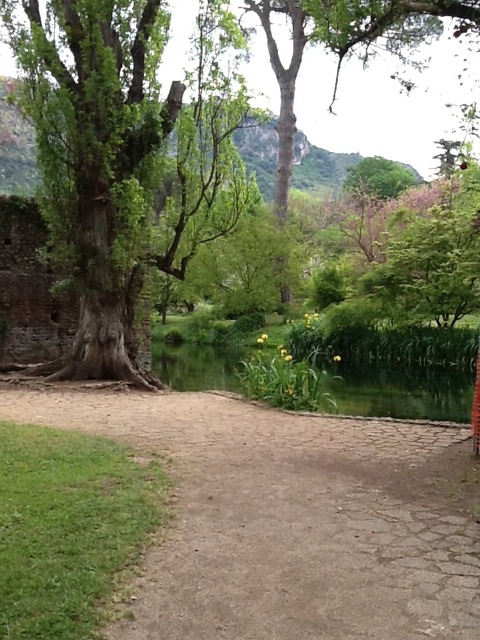 Image for The Garden of Ninfa