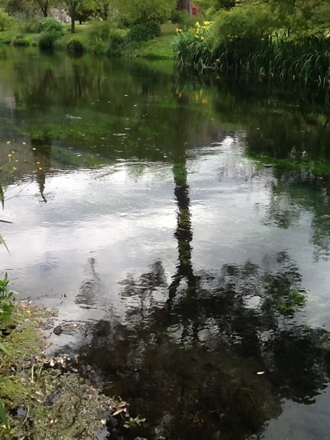 Image for The Garden of Ninfa