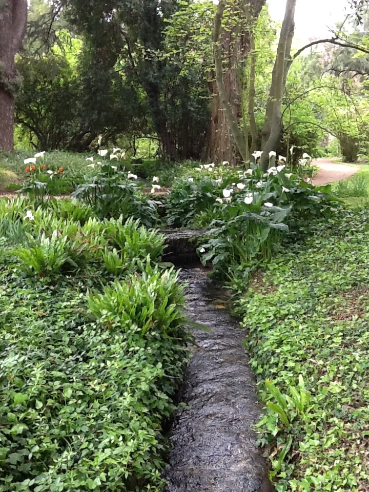 Image for The Garden of Ninfa