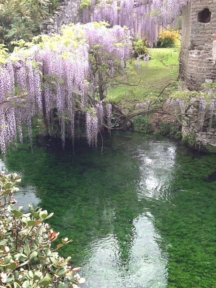 Image for The Garden of Ninfa