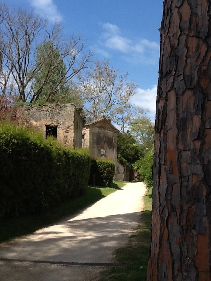 Image for The Garden of Ninfa