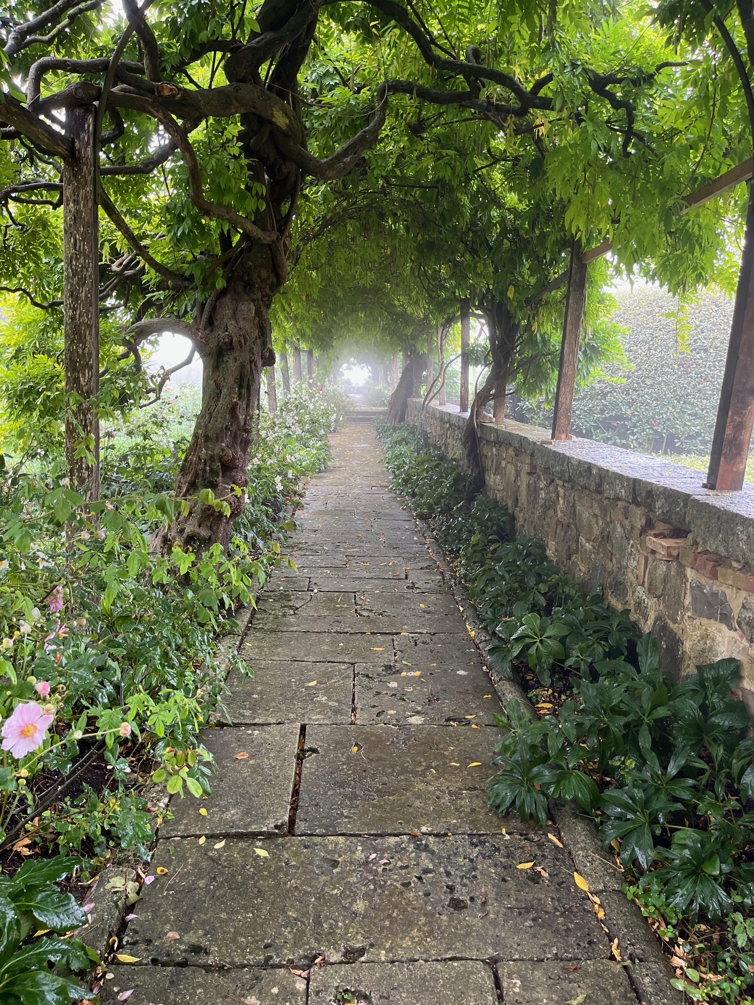 Image for Gardens at La Foce