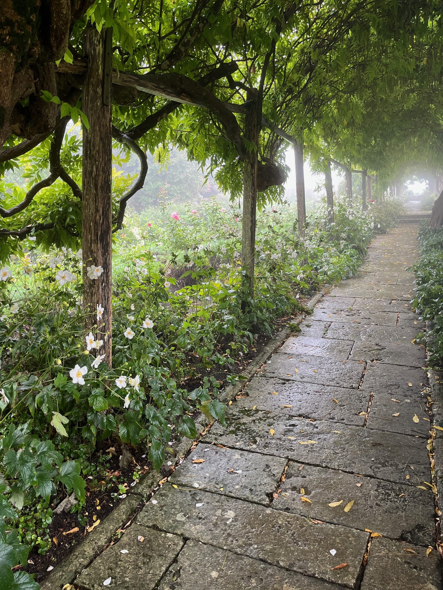 Image for Gardens at La Foce